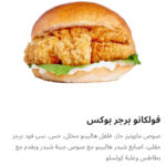 فولكانو برجر بوكس