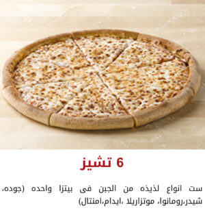 ٦ أنواع جبن