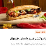 صدر شيش طاووق