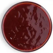 صوص باربيكيو